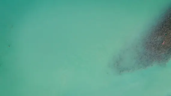 Casino Lucky Luke Podrška